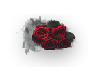 pixelapi-processed