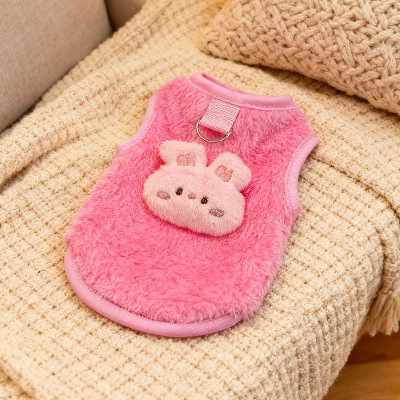 Cat, dog, pet clothes