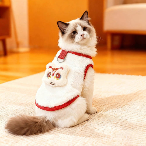 Cat, dog, pet clothes